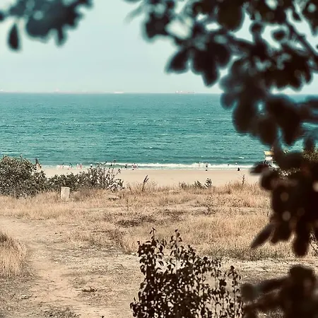 Faleza By The Sea Appartement